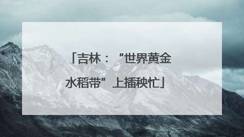 吉林：“世界黄金水稻带”上插秧忙