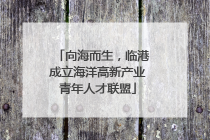 向海而生，临港成立海洋高新产业青年人才联盟