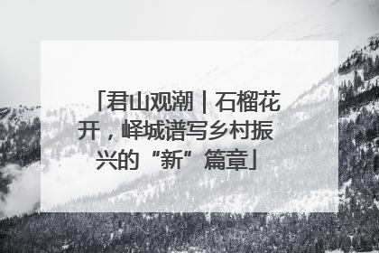 君山观潮｜石榴花开，峄城谱写乡村振兴的“新”篇章
