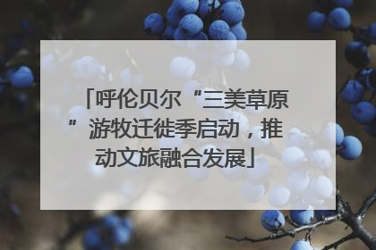 呼伦贝尔“三美草原”游牧迁徙季启动，推动文旅融合发展