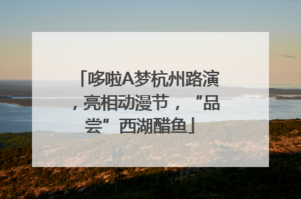 哆啦A梦杭州路演，亮相动漫节，“品尝”西湖醋鱼