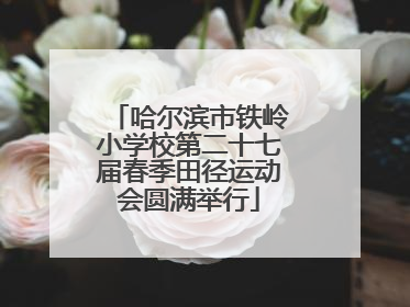 哈尔滨市铁岭小学校第二十七届春季田径运动会圆满举行