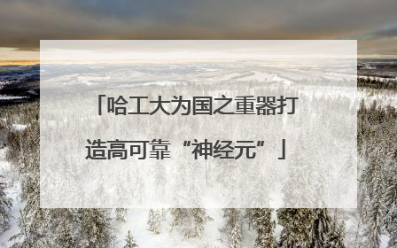 哈工大为国之重器打造高可靠“神经元”