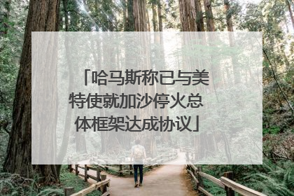 哈马斯称已与美特使就加沙停火总体框架达成协议