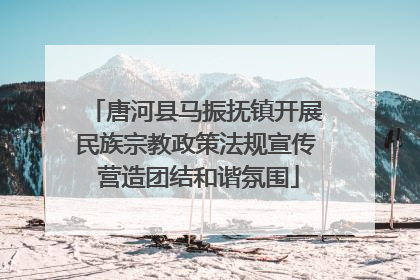 唐河县马振抚镇开展民族宗教政策法规宣传 营造团结和谐氛围