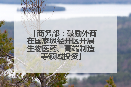 商务部：鼓励外商在国家级经开区开展生物医药、高端制造等领域投资