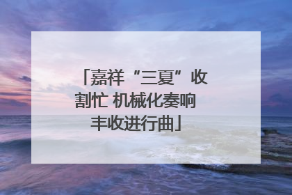 嘉祥“三夏”收割忙 机械化奏响丰收进行曲
