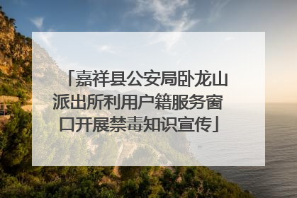 嘉祥县公安局卧龙山派出所利用户籍服务窗口开展禁毒知识宣传