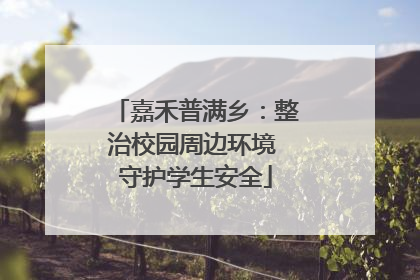 嘉禾普满乡：整治校园周边环境 守护学生安全