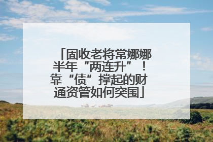 固收老将常娜娜半年“两连升”！靠“债”撑起的财通资管如何突围