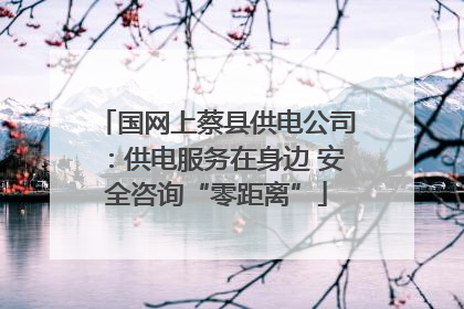 国网上蔡县供电公司：供电服务在身边 安全咨询“零距离”