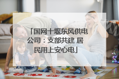 国网十堰东风供电公司：支部共建 居民用上安心电