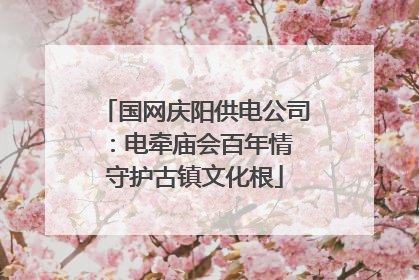 国网庆阳供电公司：电牵庙会百年情 守护古镇文化根