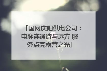 国网庆阳供电公司：电脉连通诗与远方 服务点亮露营之光