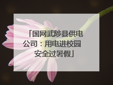 国网武陟县供电公司：用电进校园  安全过暑假