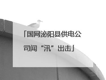 国网泌阳县供电公司闻“汛”出击