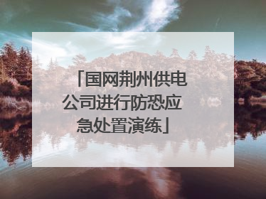 国网荆州供电公司进行防恐应急处置演练