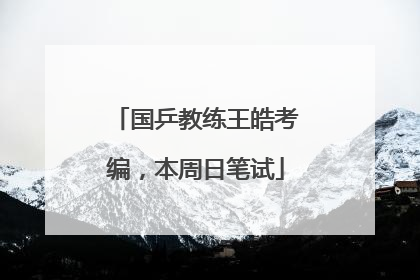 国乒教练王皓考编，本周日笔试