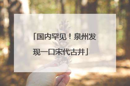 国内罕见！泉州发现一口宋代古井