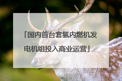 国内首台套氢内燃机发电机组投入商业运营