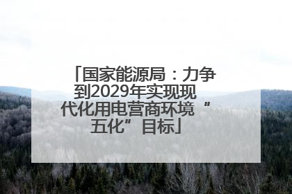 国家能源局：力争到2029年实现现代化用电营商环境“五化”目标