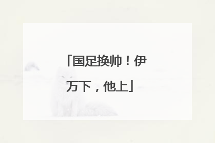 国足换帅！伊万下，他上