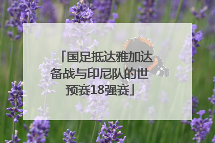 国足抵达雅加达备战与印尼队的世预赛18强赛