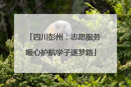 四川彭州：志愿服务暖心护航学子逐梦路