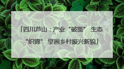 四川芦山：产业“破茧” 生态“织锦” 擘画乡村振兴新貌