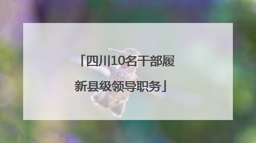四川10名干部履新县级领导职务