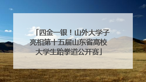 四金一银！山外大学子亮相第十五届山东省高校大学生跆拳道公开赛