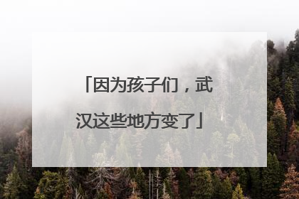 因为孩子们，武汉这些地方变了