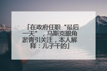 在政府任职“最后一天”，马斯克眼角淤青引关注，本人解释：儿子干的