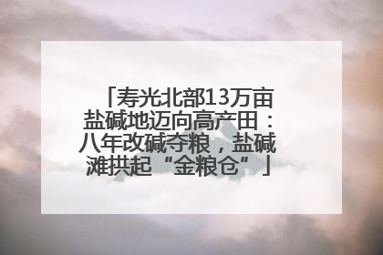寿光北部13万亩盐碱地迈向高产田：八年改碱夺粮，盐碱滩拱起“金粮仓”