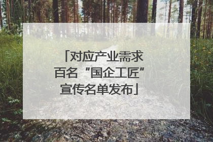 对应产业需求 百名“国企工匠”宣传名单发布