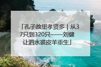 孔子故里孝贤多｜从37只到320只——刘健让泗水裘皮羊重生