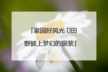 家园好风光 ⎮田野披上梦幻的银装