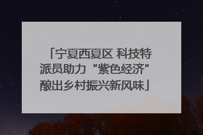 宁夏西夏区 科技特派员助力“紫色经济”酿出乡村振兴新风味
