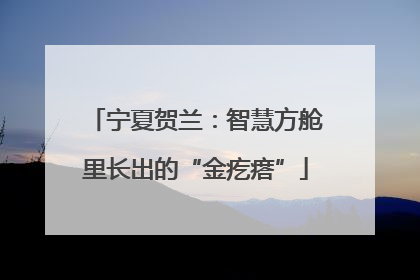 宁夏贺兰：智慧方舱里长出的“金疙瘩”