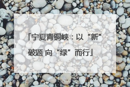 宁夏青铜峡：以“新”破题 向“绿”而行