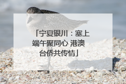 宁夏银川：塞上端午聚同心 港澳台侨共传情