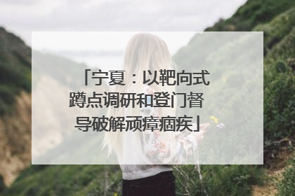 宁夏：以靶向式蹲点调研和登门督导破解顽瘴痼疾