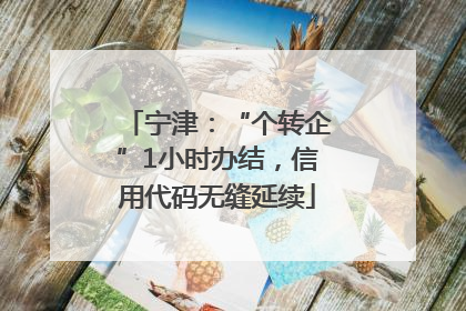 宁津：“个转企”1小时办结，信用代码无缝延续