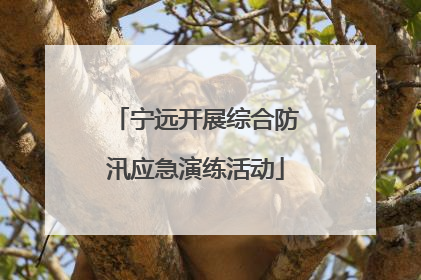 宁远开展综合防汛应急演练活动