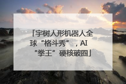 宇树人形机器人全球“格斗秀”，AI“拳王”硬核破圈