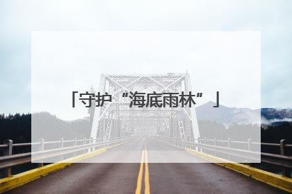 守护“海底雨林”