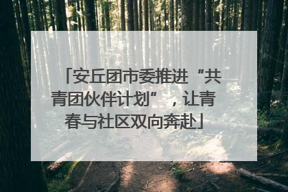 安丘团市委推进“共青团伙伴计划”，让青春与社区双向奔赴