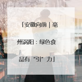 安徽向前｜亳州涡阳：绿色食品有“引”力