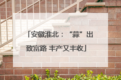 安徽淮北：“蒜”出致富路 丰产又丰收