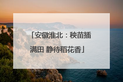 安徽淮北：秧苗插满田 静待稻花香